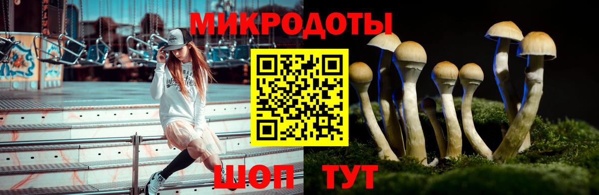 цены   Галлюциногенные грибы MAGIC MUSHROOMS  Вход с VPN  Дятьково 