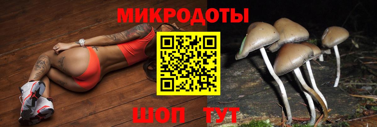 Галлюциногенные грибы GOLDEN TEACHER Дятьково